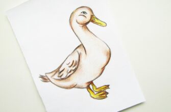 Учимся рисовать гуся карандашом или красками. Мастер-классы с пошаговым фото
